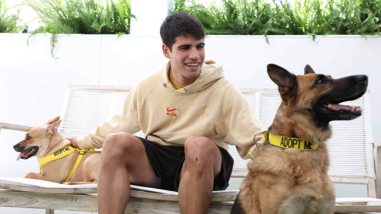 Alcaraz Meets Humane Society Dogs In Miami