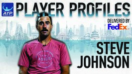 Johnson FedEx ATP Player Profile 2017