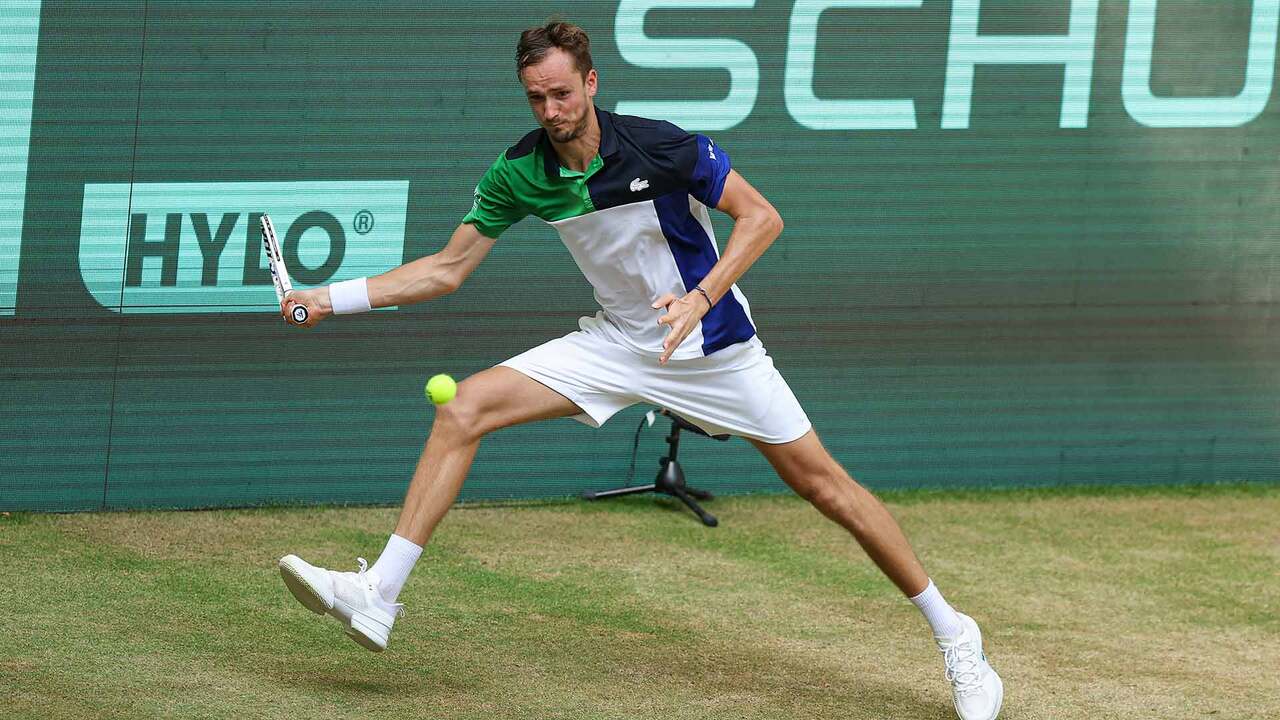 Hot Shot Medvedev Crushes Return Winner In Halle Video Search Results ATP Tour Tennis