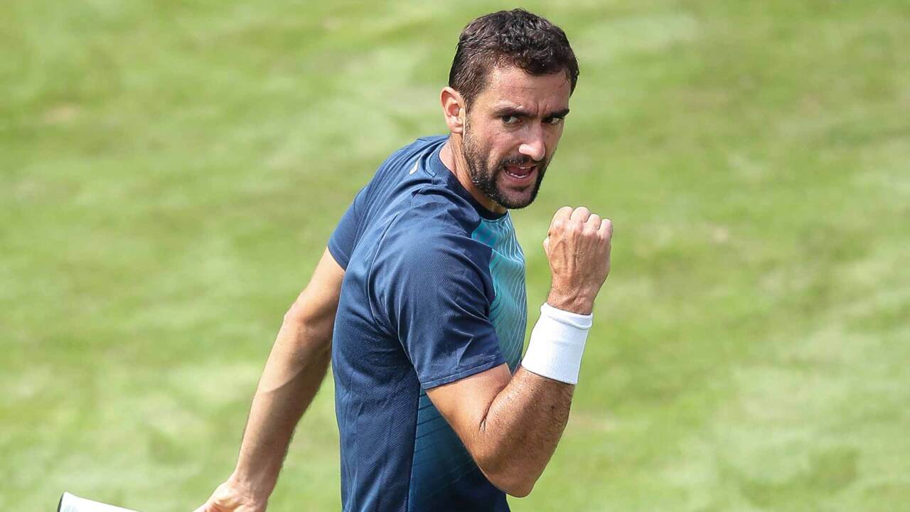 Hot Shot: Cilic Curls Forehand Winner From The Parking Lot
