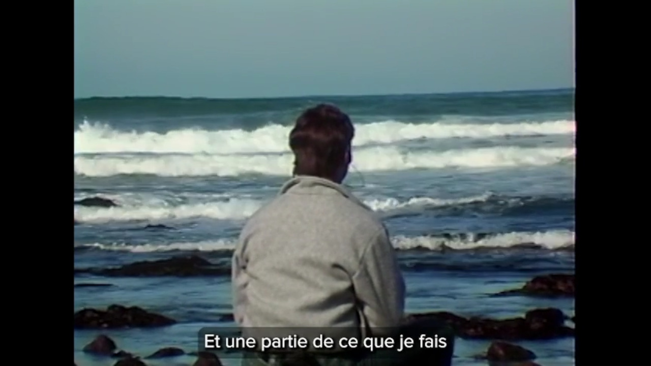 Un Moment de Paix à la Plage Asilomar