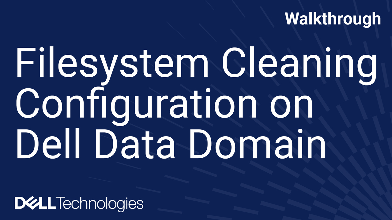 在 Dell Data Domain 系统上设置和验证文件系统清理