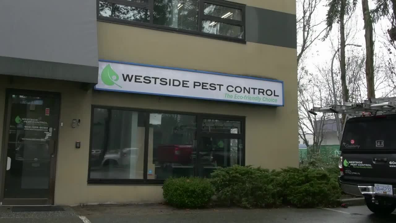 Rat Control Vancouver BC  Call for a Free Quote 604-559-9060