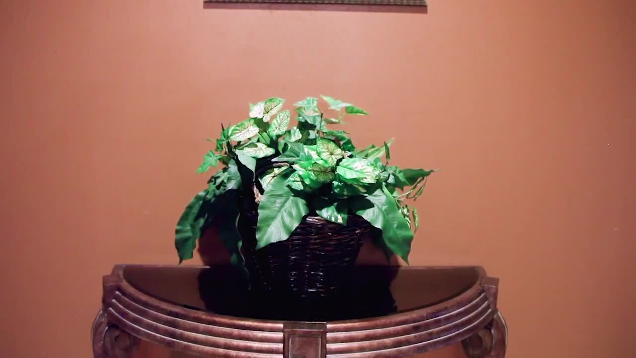 Y Y Foot Spa 65 Photos & 133 Reviews Massage 3859 Spring Mountain