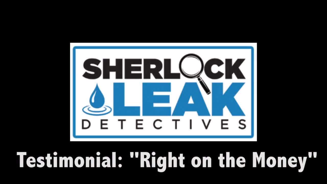 Sherlock Leak Detection