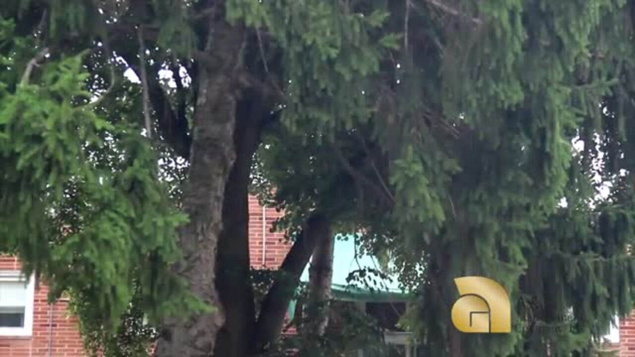 OVERBROOK APARTMENTS Updated September 2024 10 Photos 57135723