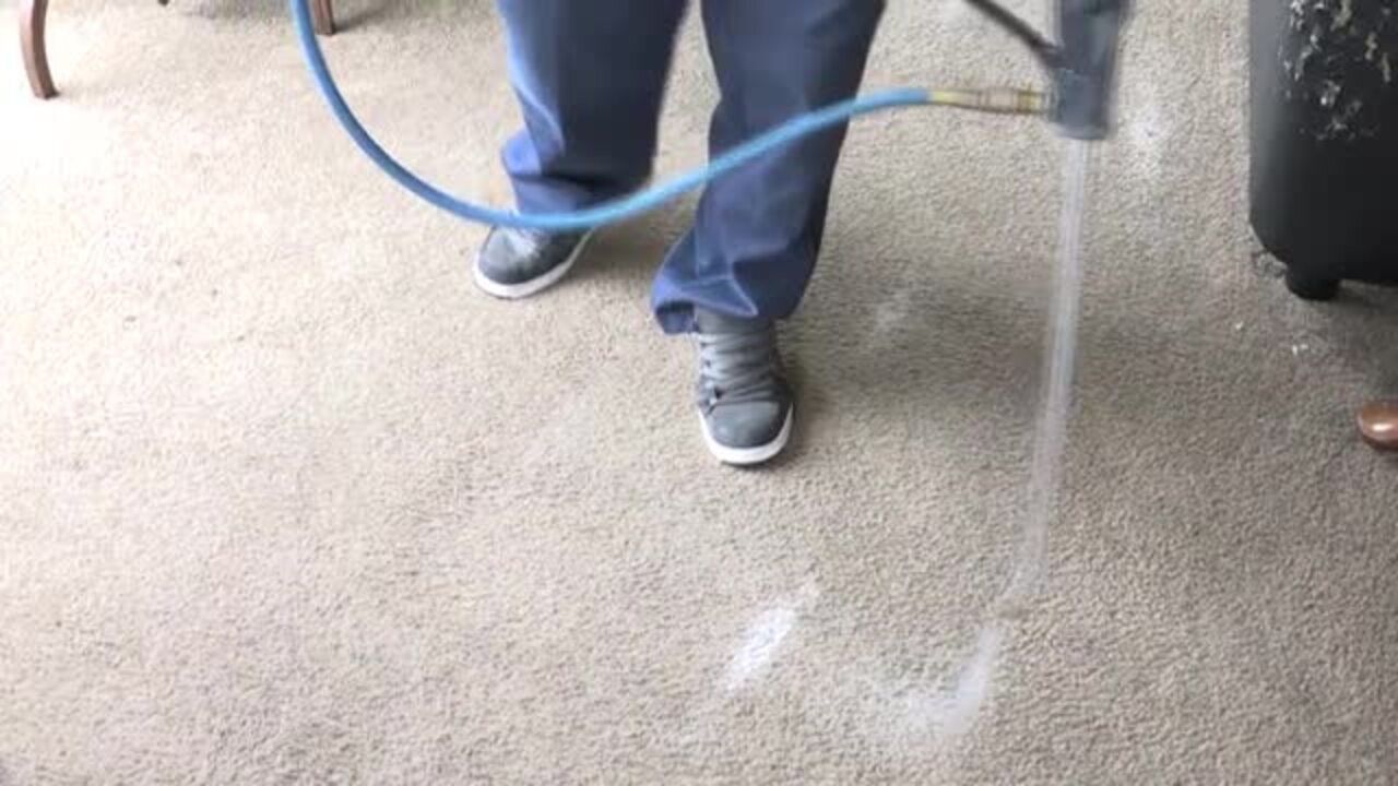 EXTREME CARPET CARE Updated May 2024 124 Photos & 165 Reviews