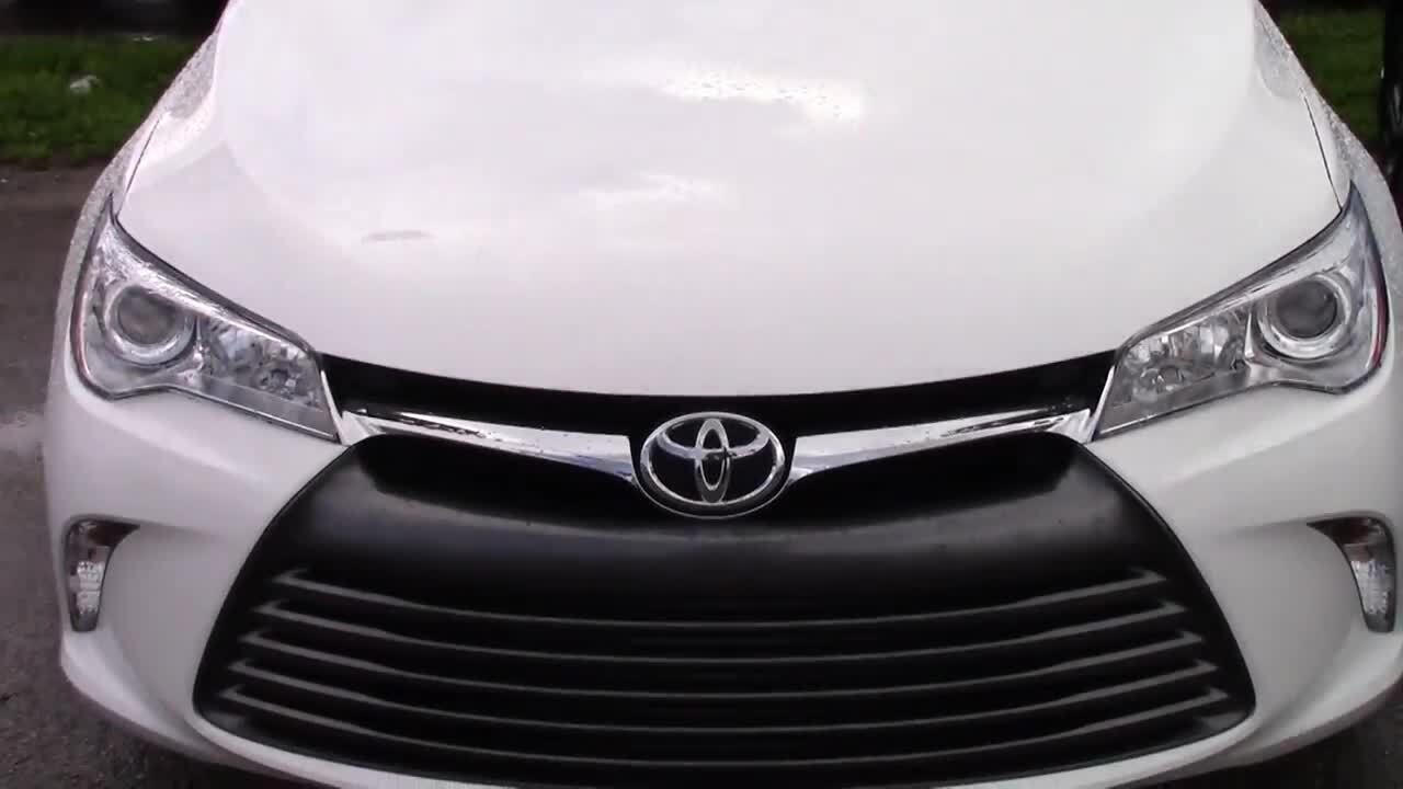 441 AUTO RENTAL Updated September 2024 1850 N State Road 7