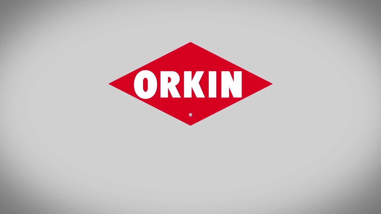 Orkin - Pest Control - 25400 74th Ave S Kent Wa - Phone Number Orkin - Pest Control - 25400 74th Ave S Kent Wa - Phone Number