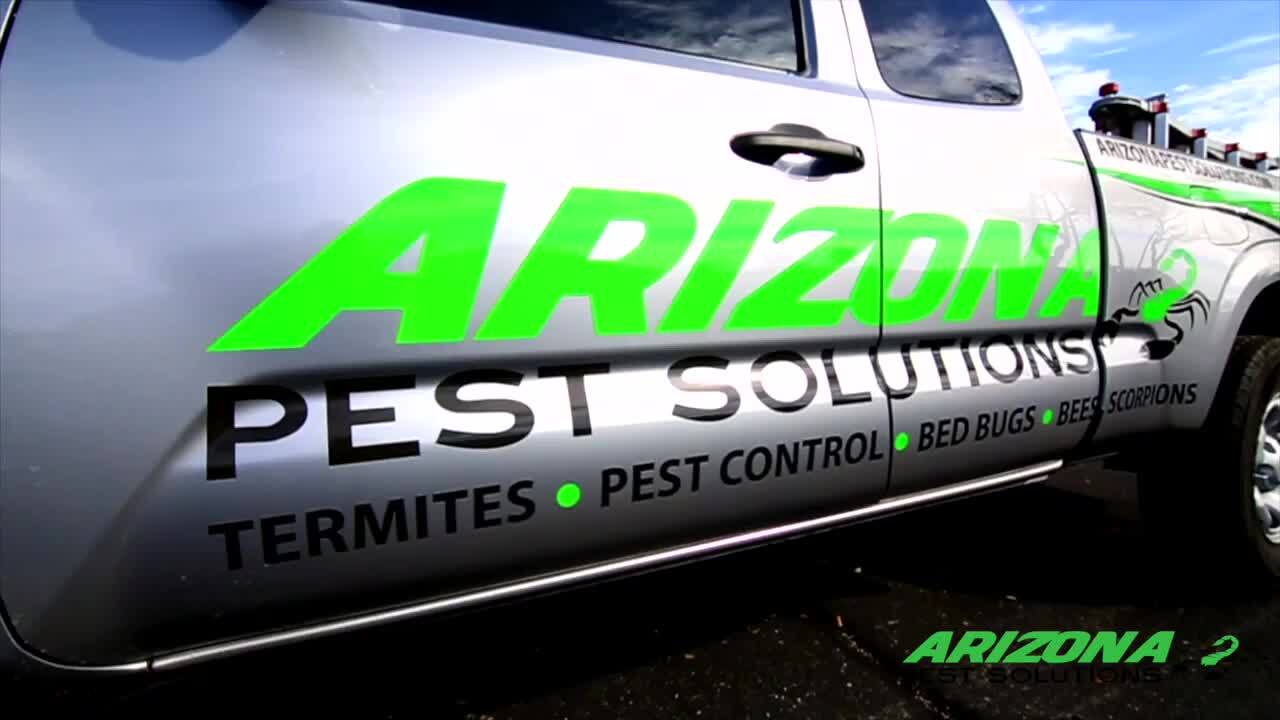Arizona Pest Solutions 312 Photos & 47 Reviews Pest Control