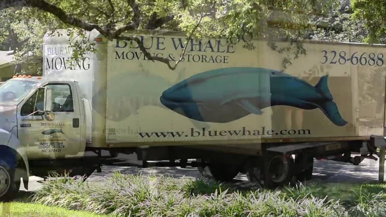 Blue Whale Moving Company - 54 Photos & 147 Reviews - Movers - 8291