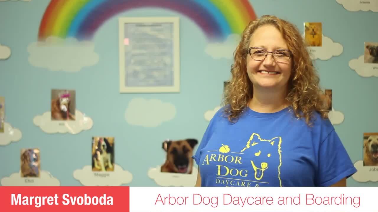 ARBOR DOG DAYCARE Updated October 2024 60 Photos & 30 Reviews