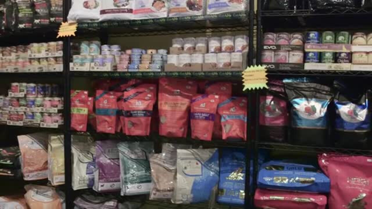 GONE TO THE DOGS BOUTIQUE 23 Photos & 16 Reviews Pet Stores 310