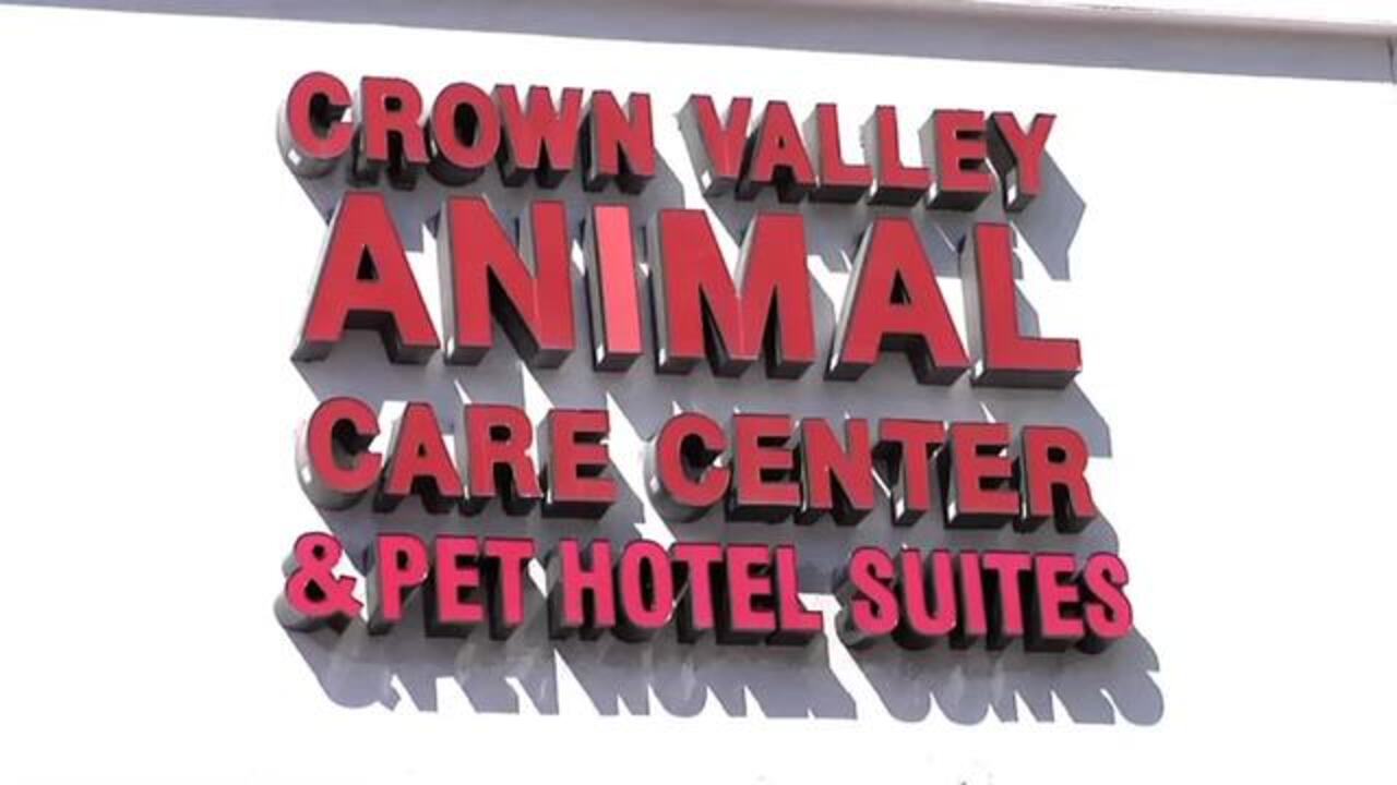 Laguna niguel animal hospital information