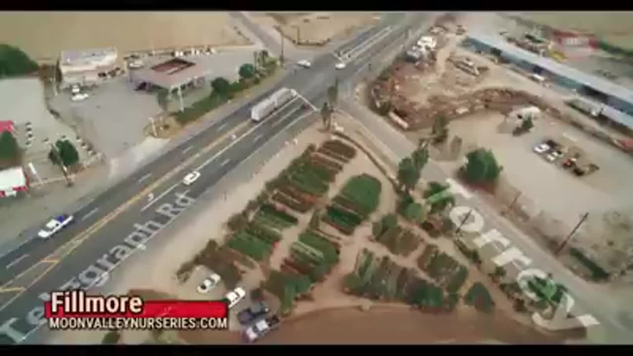 MOON VALLEY NURSERIES 157 Photos & 169 Reviews Nurseries & Gardening 3906 East Telegraph