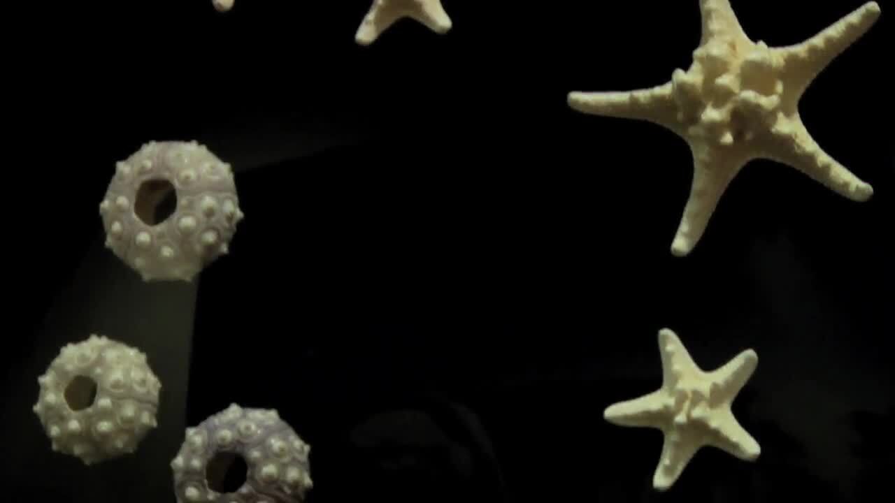 PRECISION ENDODONTICS Updated October 2024 60 Photos & 246 Reviews