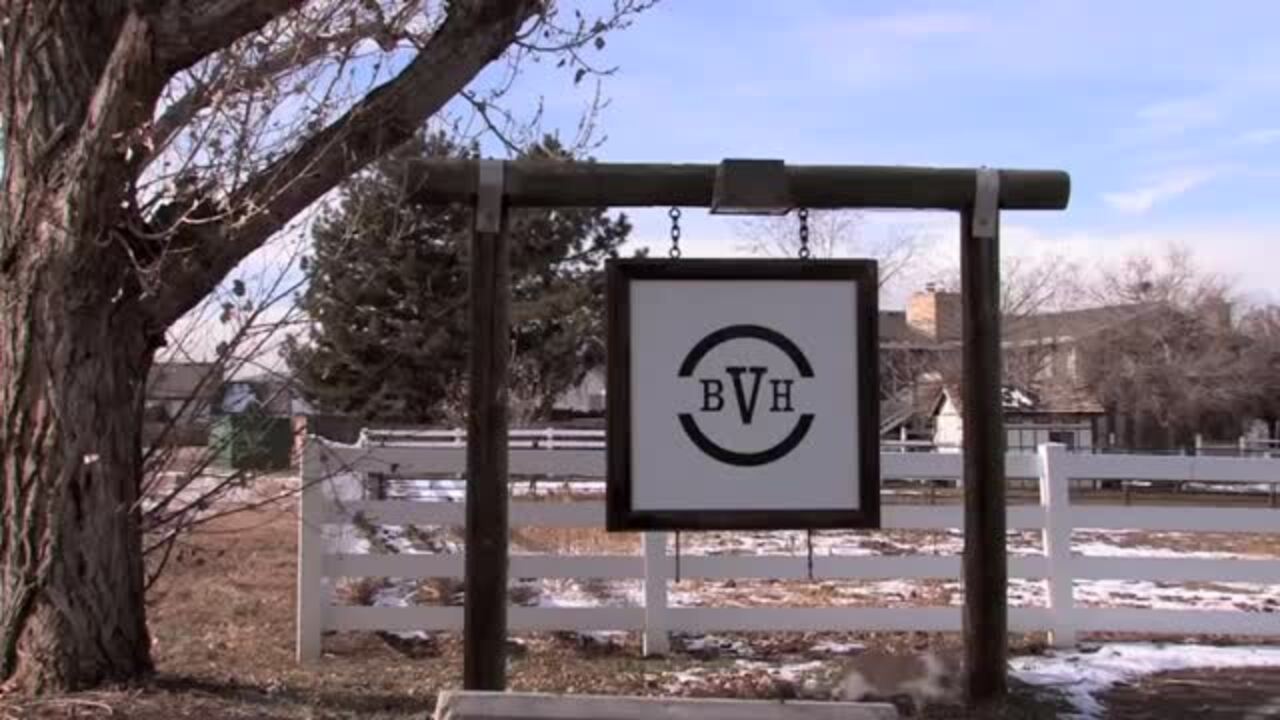 BOUTON VETERINARY HOSPITAL 31 Photos & 33 Reviews Veterinarians