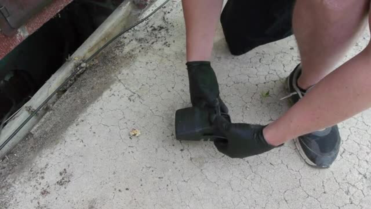 COLORADO PEST PROS Updated September 2024 34 Photos & 373 Reviews