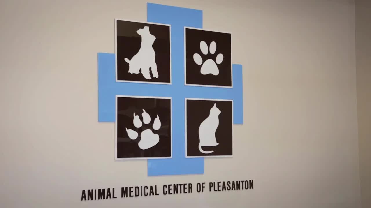 animal hospital on pleasanton rd