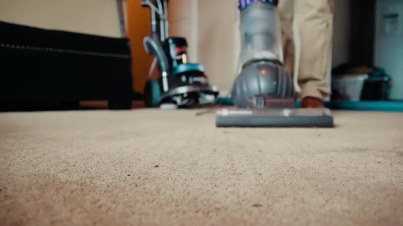 yelp carpet cleaning