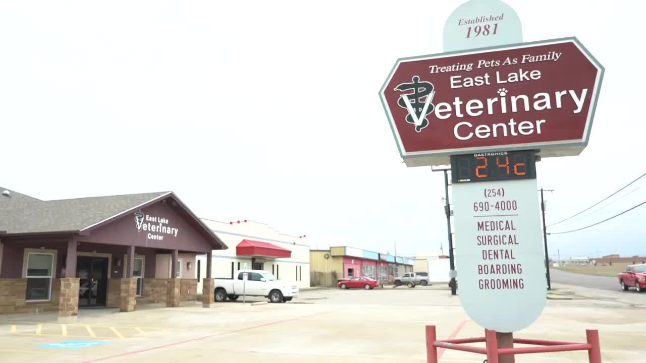East Lake Veterinary Center Updated COVID19 Hours & Services 27