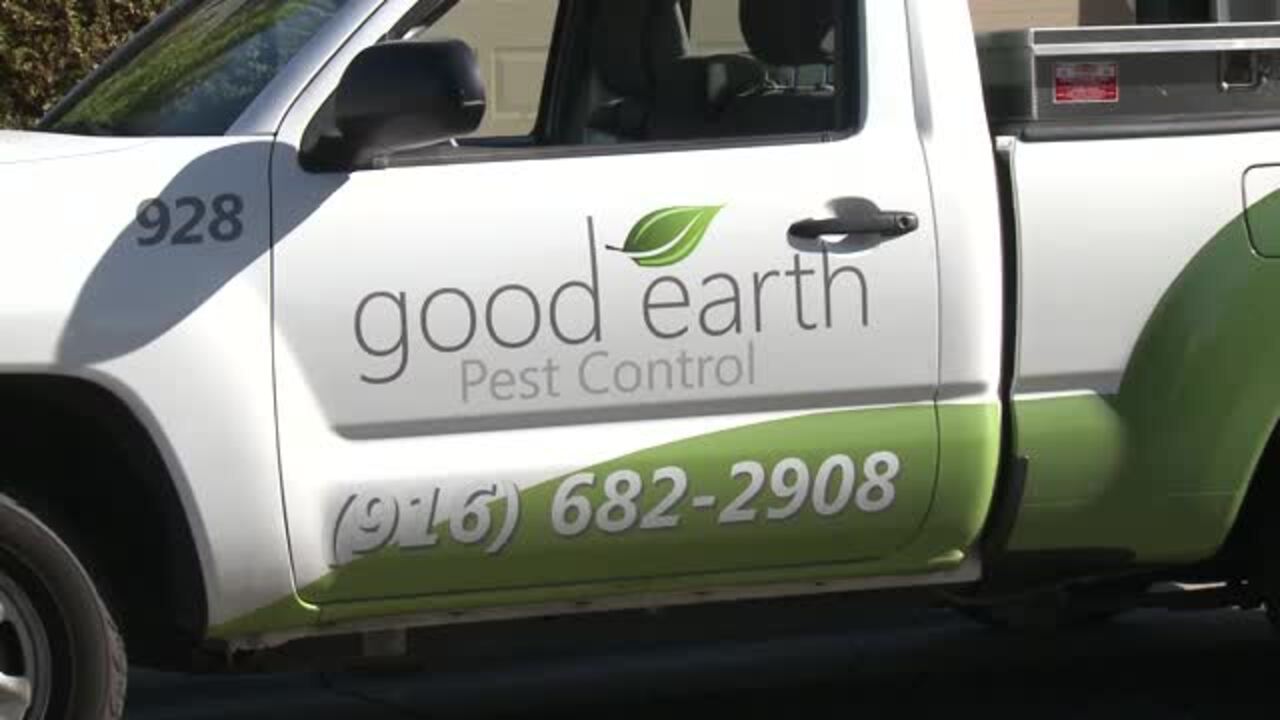 GOOD EARTH PEST CONTROL 94 Reviews Sacramento California Pest   Image 