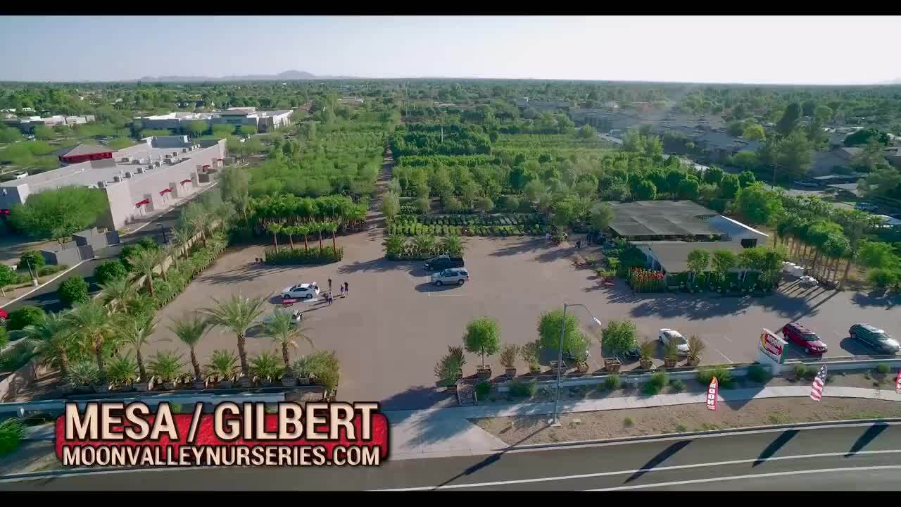 Moon Valley Nurseries 394 Photos & 152 Reviews Nurseries