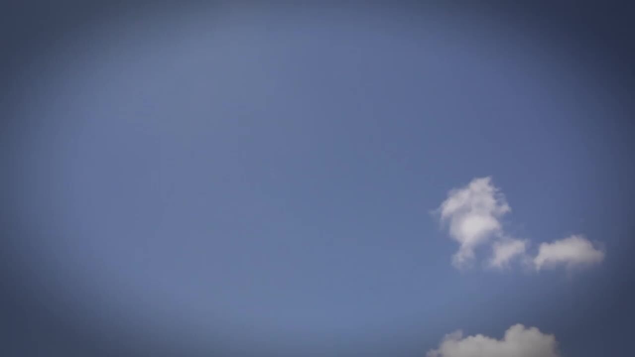 BEELINE PEST CONTROL 27 Photos & 101 Reviews 4704 Broom St, San