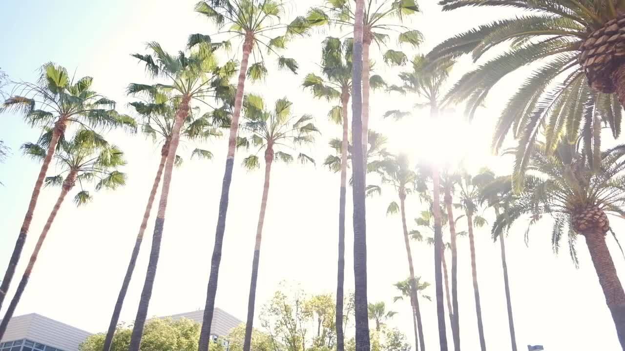 UCI Urology Orange County Kidney Stone Center Urologists 101 The