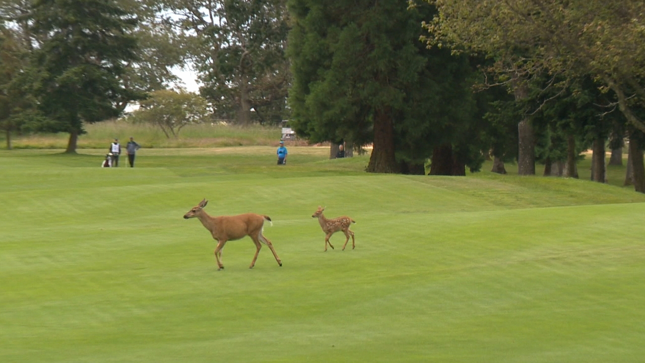 Zach Wright leads at 12-under in BPC Open