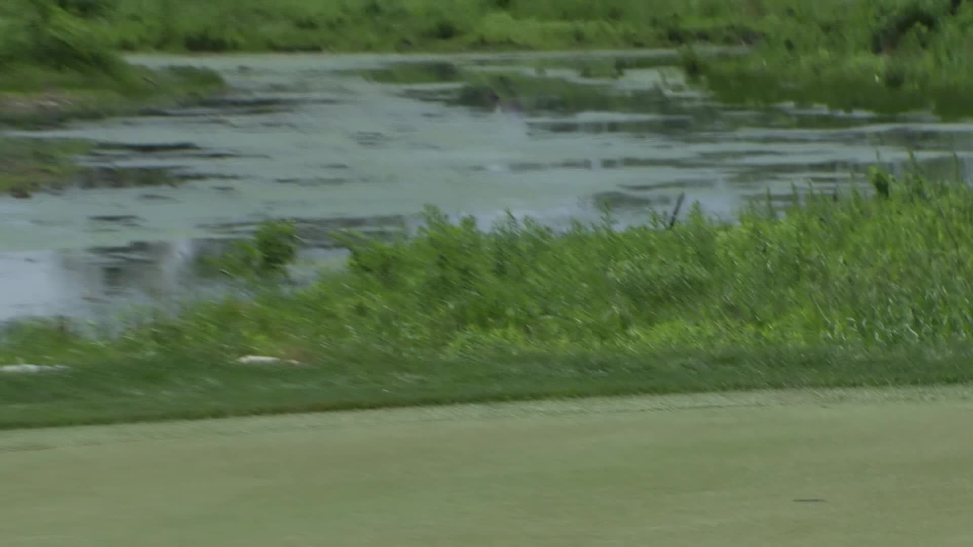 Team Cink/Johnson makes eagle putt on No. 2 at American Family Insurance Championship