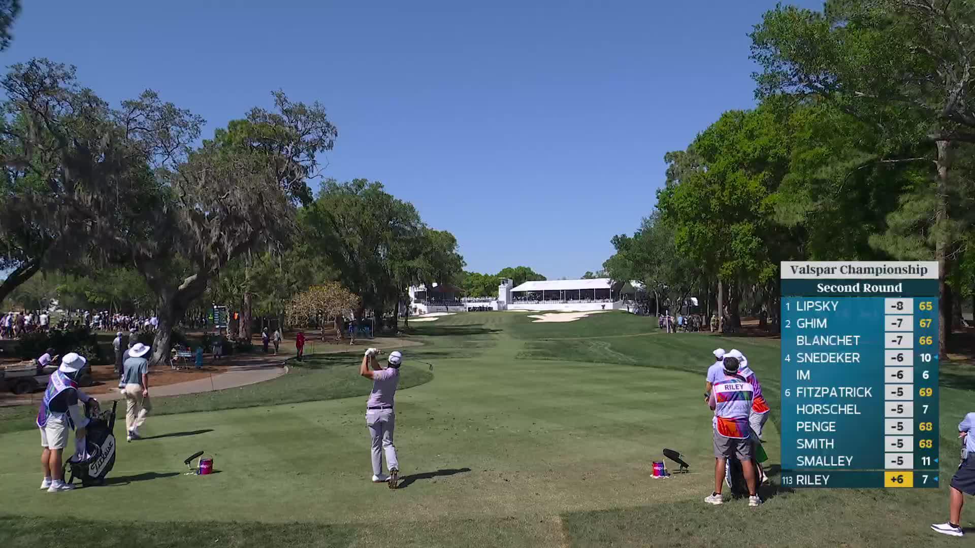 Davis Riley hits 182-yard approach to 4 feet, sets up birdie on No. 17 at Valspar
