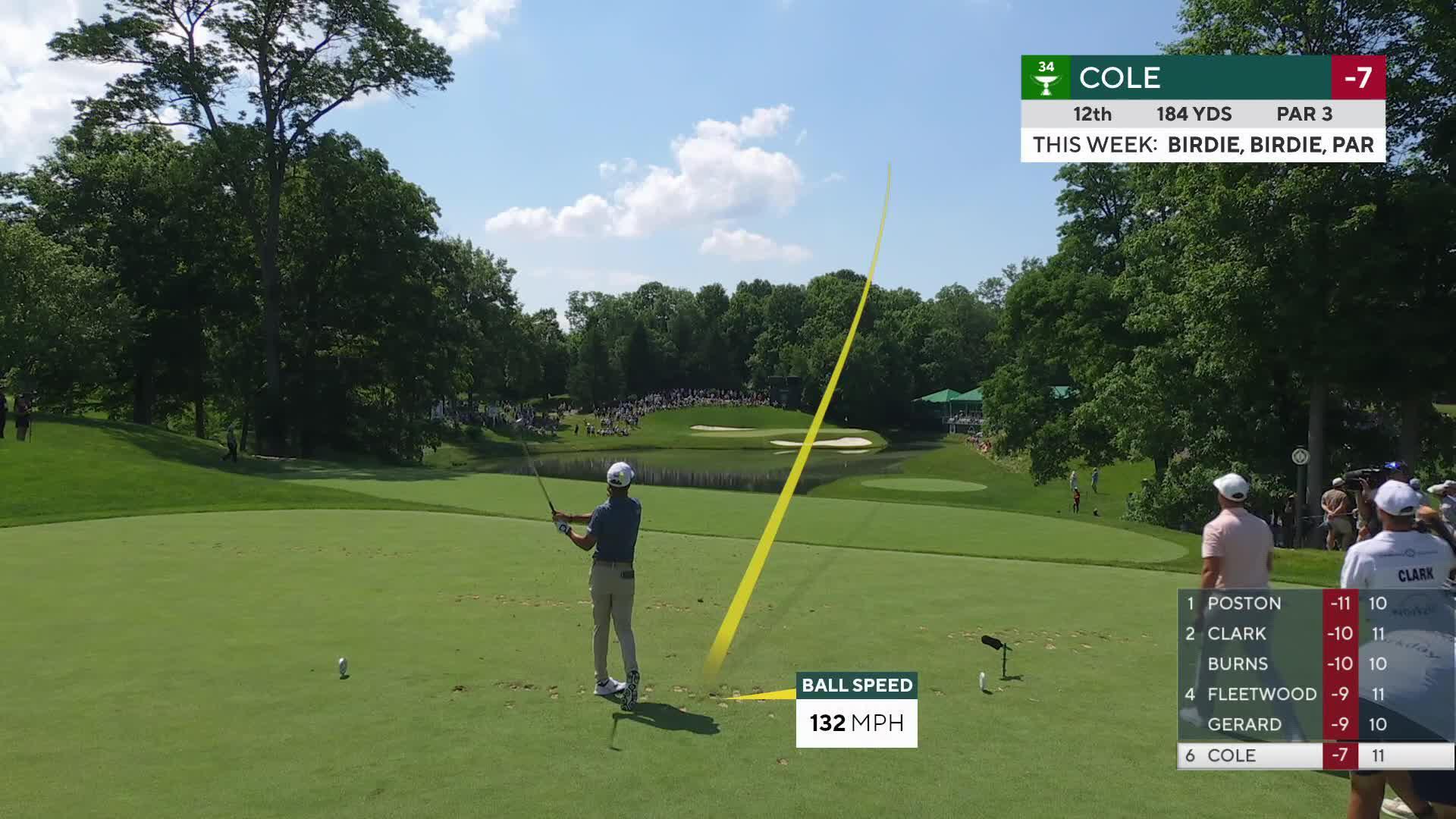 Eric Cole nearly aces No. 12, sets up birdie at the Memorial