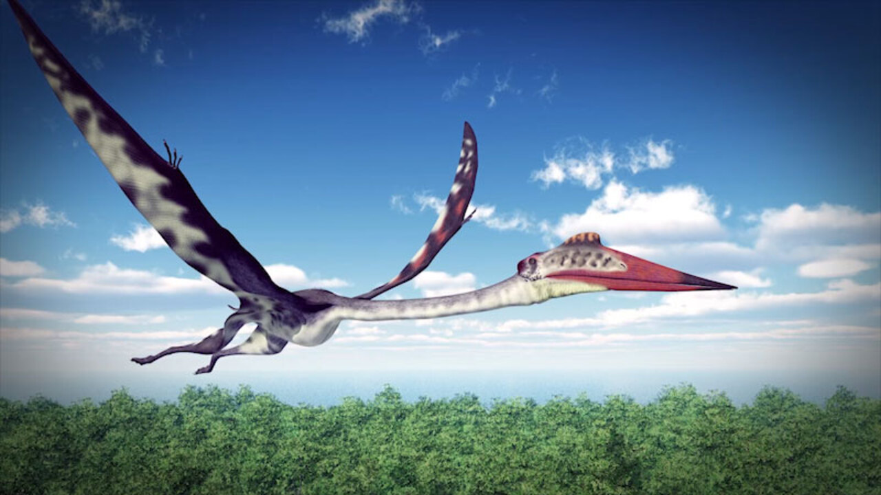 Quetzalcoatlus and Other Giant Pterosaurs were Short-Range Flyers