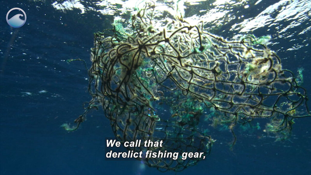 TRASH TALK: What Is Marine Debris?