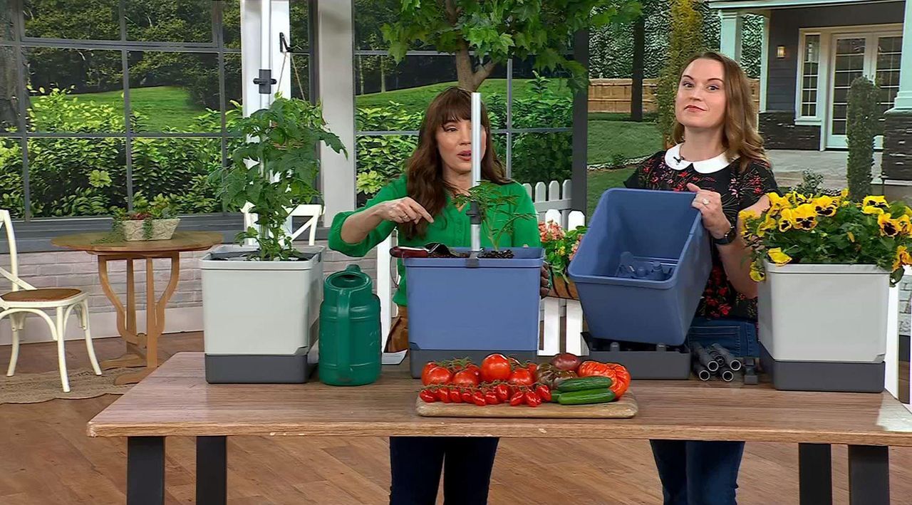On-Air Presentation