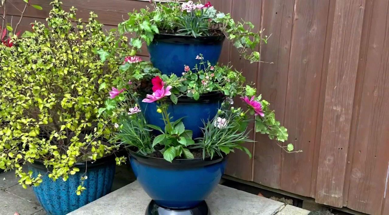 indoor plant pot stand Ferry-Morse Indoor Plant Shelf Stand main image 0