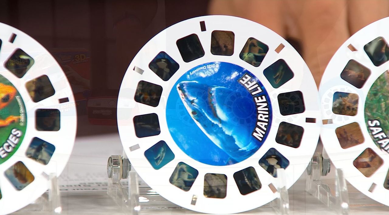 Buy Sea Life Gift Set - ViewFinder & 5 Reels - Science Viewer