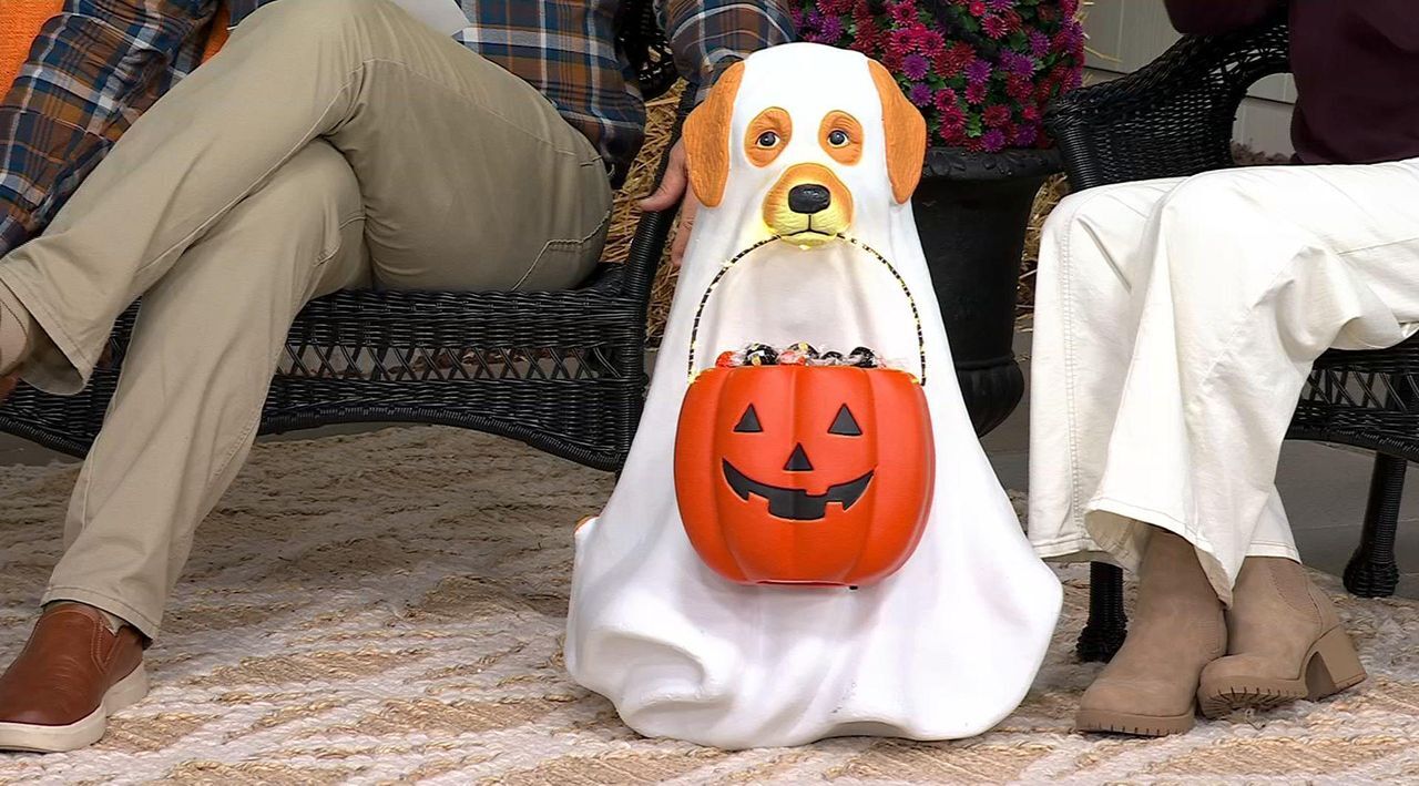 Bethlehem Lights 28 Illuminated Halloween Dog with Basket QVC