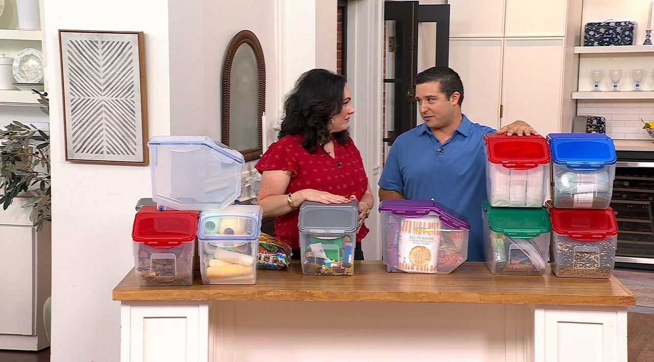 LocknLock XL 50-Cup Flip Top Storage Container with Wheels - QVC.com