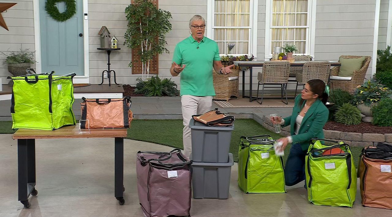 Richesses*design  Durasack Set of 2 Everyday Use Zipper Top Tote 2.0 - QVC.com