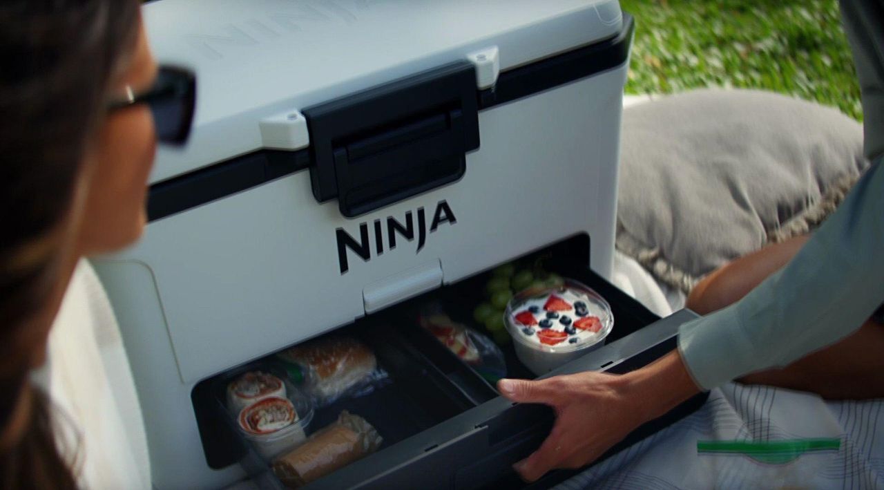 Meet the Ninja Frost Vault