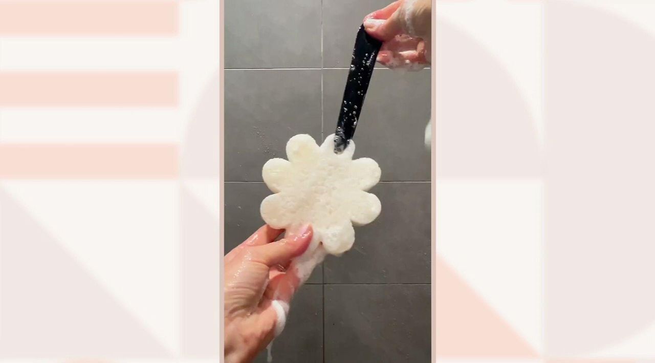 Indulge with Spongell