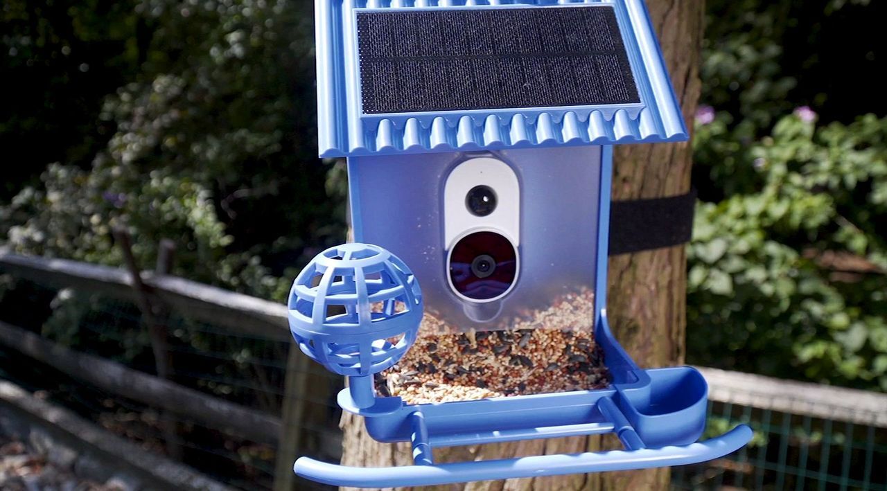 Bird Buddy Smart Bird Feeder with Solar Roof Blue BBG1003BAB - Best Buy