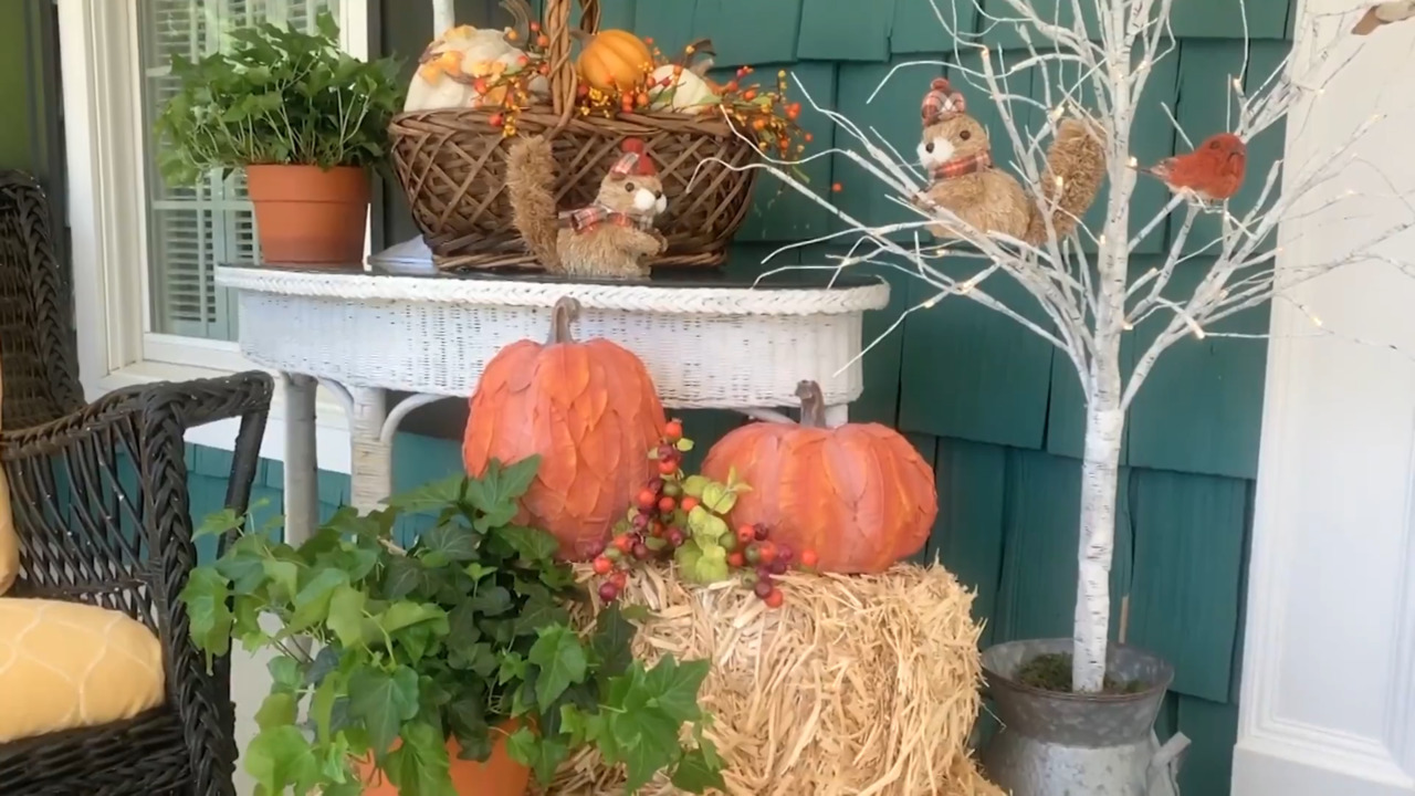 Valerie Parr Hill Design Devotee —