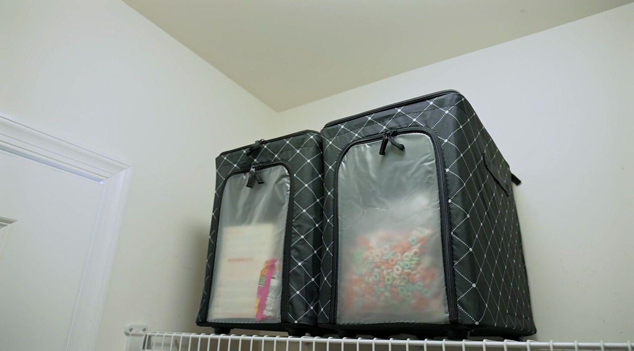 Periea Set of 2 Medium Verticle Storage with Dividers - QVC.com