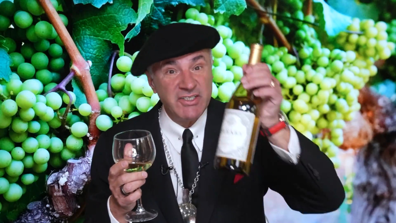 Vintage Wine Estates Kevin O'Leary Holiday 3or12Btl Wines - QVC.com