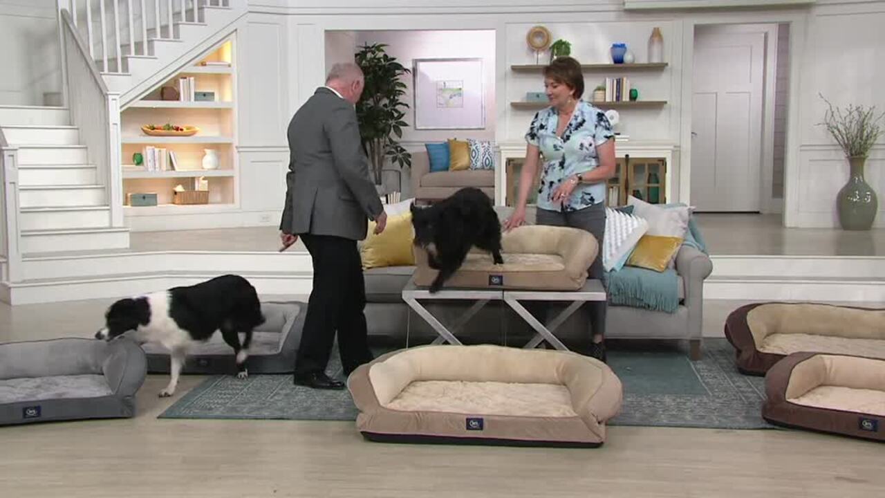 serta gel memory foam couch dog bed