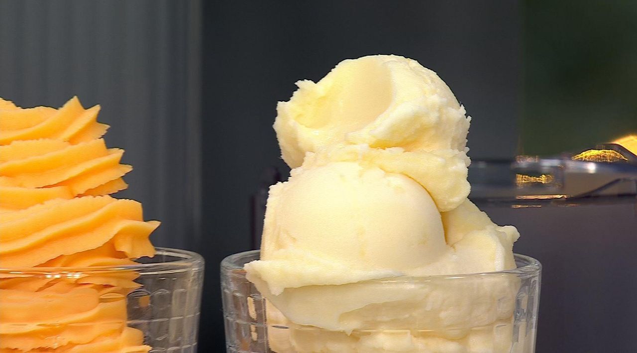 Ninja SWIRL By CREAMi 13-in-1 Soft Serve & Ice Cream Maker with