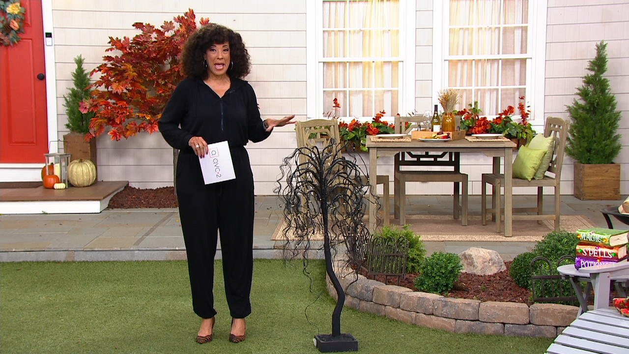 Martha Stewart Indoor/Outdoor Seashell Planter on QVC 